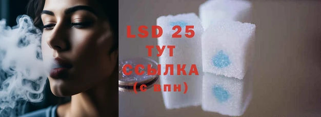 спайс Баксан