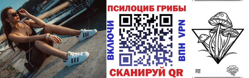 Псилоцибиновые грибы Cubensis Зима