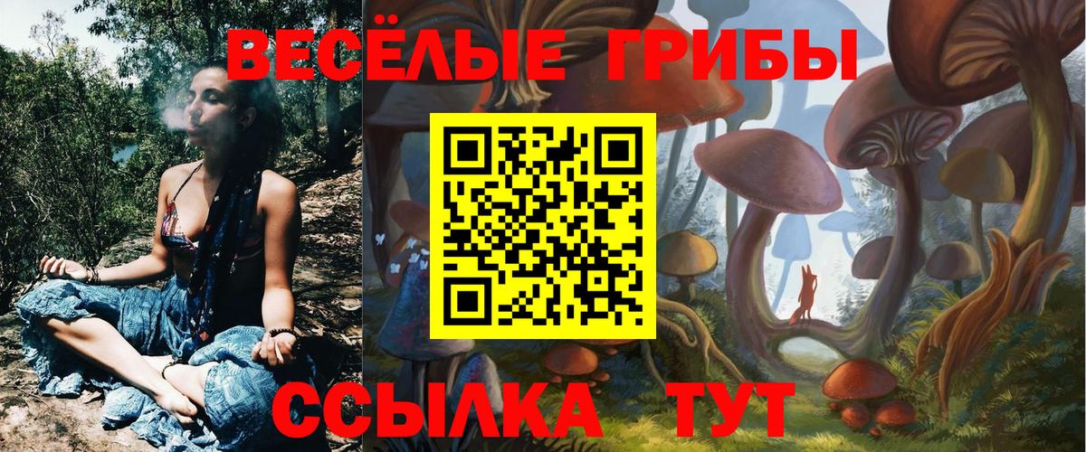 Псилоцибиновые грибы мицелий  Вход с VPN  Зима 