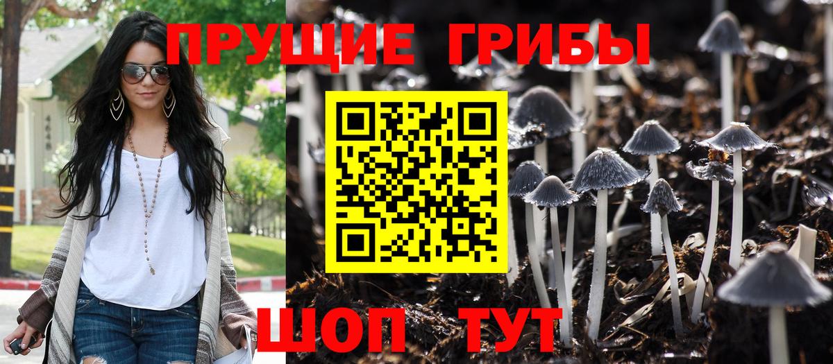 Галлюциногенные грибы прущие грибы Зима