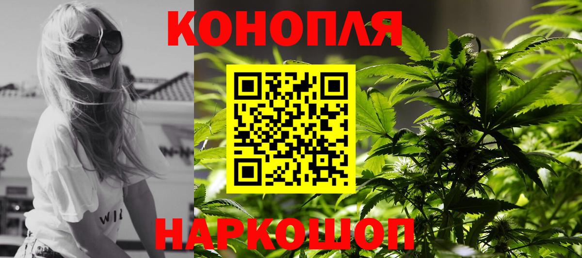 Бошки марихуана AK-47  Вход с VPN  Бошки Шишки гибрид  Зима 
